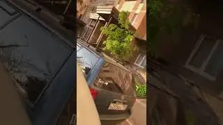 16 мая 2023 г.