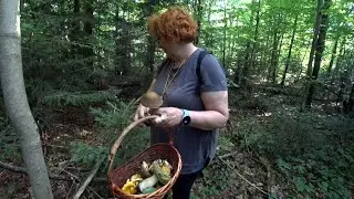 НЕТРОНУТЫЙ ГРИБНОЙ ЛЕС! Грибники нашли НОВОЕ ГРИБНОЕ место!