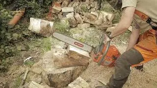 Splitting Unsplittable Wood With The Husqvarna 365 pt1