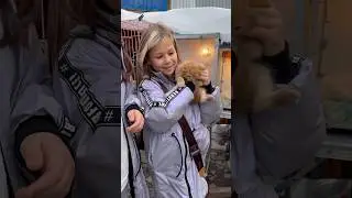Как Милана выбирала котика 
