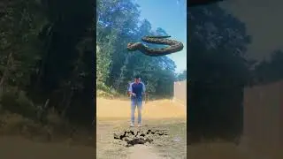 anaconda snake attack vfx video 
