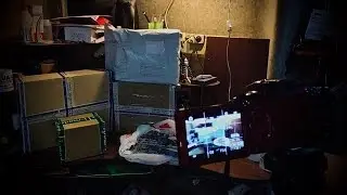 Посылки. Хомяк сытый и жаба целая