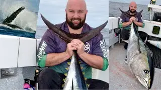 A dream come true! - Huge Southern Bluefin Tuna 🐟