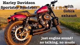 Harley Davidson Sportster Roadster - extensive overview (only exhaust sound, no talking, no music)
