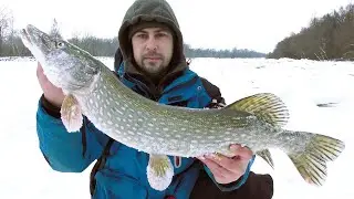 Спочатку Піймали Облизня, а потім Трофей. Риболовля на  Жерлиці