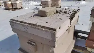Пристрелочный или полноценный облет