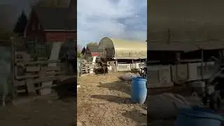 Свадьба Эля и Граф