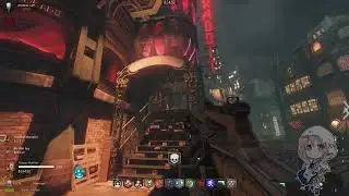 Some videos are just for us - Call of Duty Zombies UEM