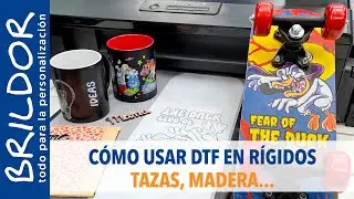 CÓMO USAR DTF en rígidos: TAZAS, SKATE, MADERA 😲