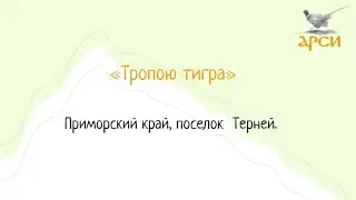 Команда «Тропою тигра», поселок Терней, Приморский край