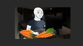 The Carrot Problem in programming 🥕🤔#programmer #tech #software