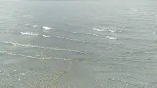 Slomo Waves III