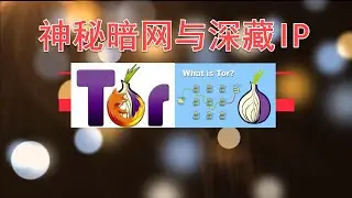 Tor洋葱浏览器访问神秘暗网以及深藏IP地址2020.05.06