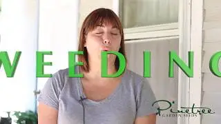 Garden Tips and Tricks: How to Weed a Garden