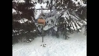 👀Хотите - верьте, хотите - нет, а дело было так☝️