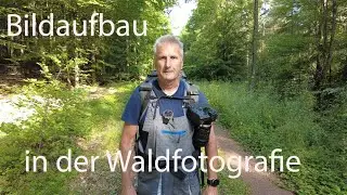Landschaftsfotografie im Wald