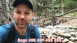 Appalachian Trail Sterling Forest NY Fitzgerald Falls 9/9/20 | Hiking, Mycology and Picking up Trash