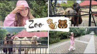 🐒🐵 Едем в зоопарк / Кормим медведей, лемуров, обезьян 🐪🦒