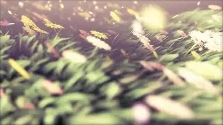 After Effects Tutorial: Flower Animation using Trapcode Particular