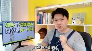 多猫家庭里猫咪的健康隐患，很可能是家里的另一只猫