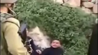 Palestine 12 June 2015