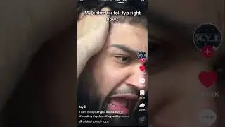memes from internet