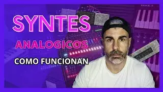 APRENDE a USAR SINTETIZADORES DE ABLETON  🚀  NOCIONES BÁSICAS PARA EMPEZAR