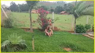 Alairce Duarte