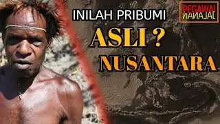 SIAPAKAH PRIBUMI ASLI  NUSANTARA?