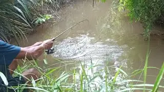 RASA NYA TIDAK MAU PULANG MANCING DI SUNGAI YANG BANYAK IKAN NYA MAS BRO
