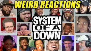 The Best Reactions to 