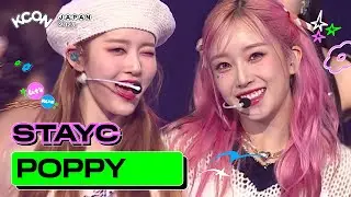 [KCON JAPAN 2023] STAYC - POPPY @DREAM STAGE | Mnet 230615 방송