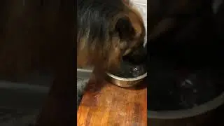 Kamara drinks water like dad😂 