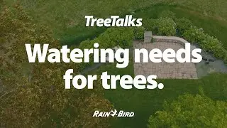 Rain Bird Tree Talks - Watering Needs For Trees (Tree Care)