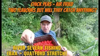 Barbel Fishing with Chick Peas (BAA Stretch - Quatford) Short Session.