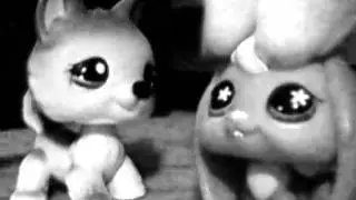 Im So Sorry crazy4lps12...