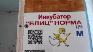 Ремонт,и что внутри инкубатора 