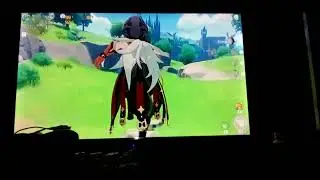 Nvidia GTS 450 1gb vs Genshin Impact.