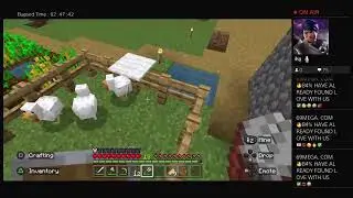 Playing minecraft