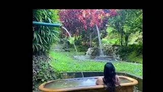 Hot Spring Bliss in Dominica #shortsviral #dominica #carribean #travelblogger #nature #