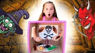 Mysterious challenge in the House - Eva Fox Show