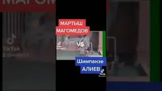 Мартыш Магомедов 18+ прикол. shorts