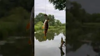 Часть 3. Поход на Дрозды номер 2 