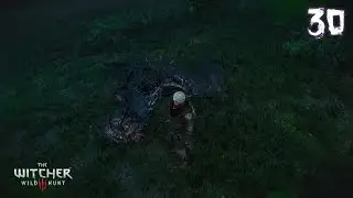 Ведьмак 3: Дикая Охота (The Witcher 3: Wild Hunt). Клекотун & Лешачиха.
