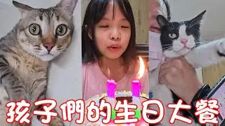 貓咪小短篇-孩子們的生日大餐！阿虎&杉杉&黑妞的生日