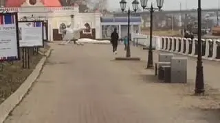 на вертолете в ресторан