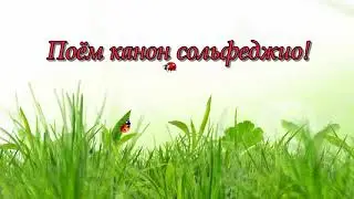 Канон 8