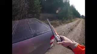 Hunting With Tom - 2020 Maine Grouse and Pheasant Hunting
