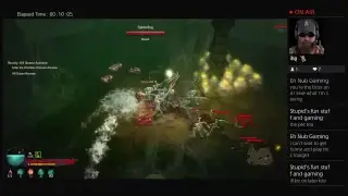 Necromancer first look
