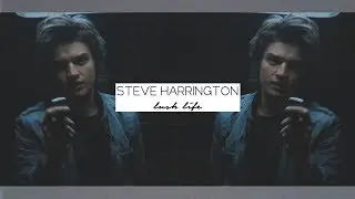 steve harrington | lush life [stranger things]